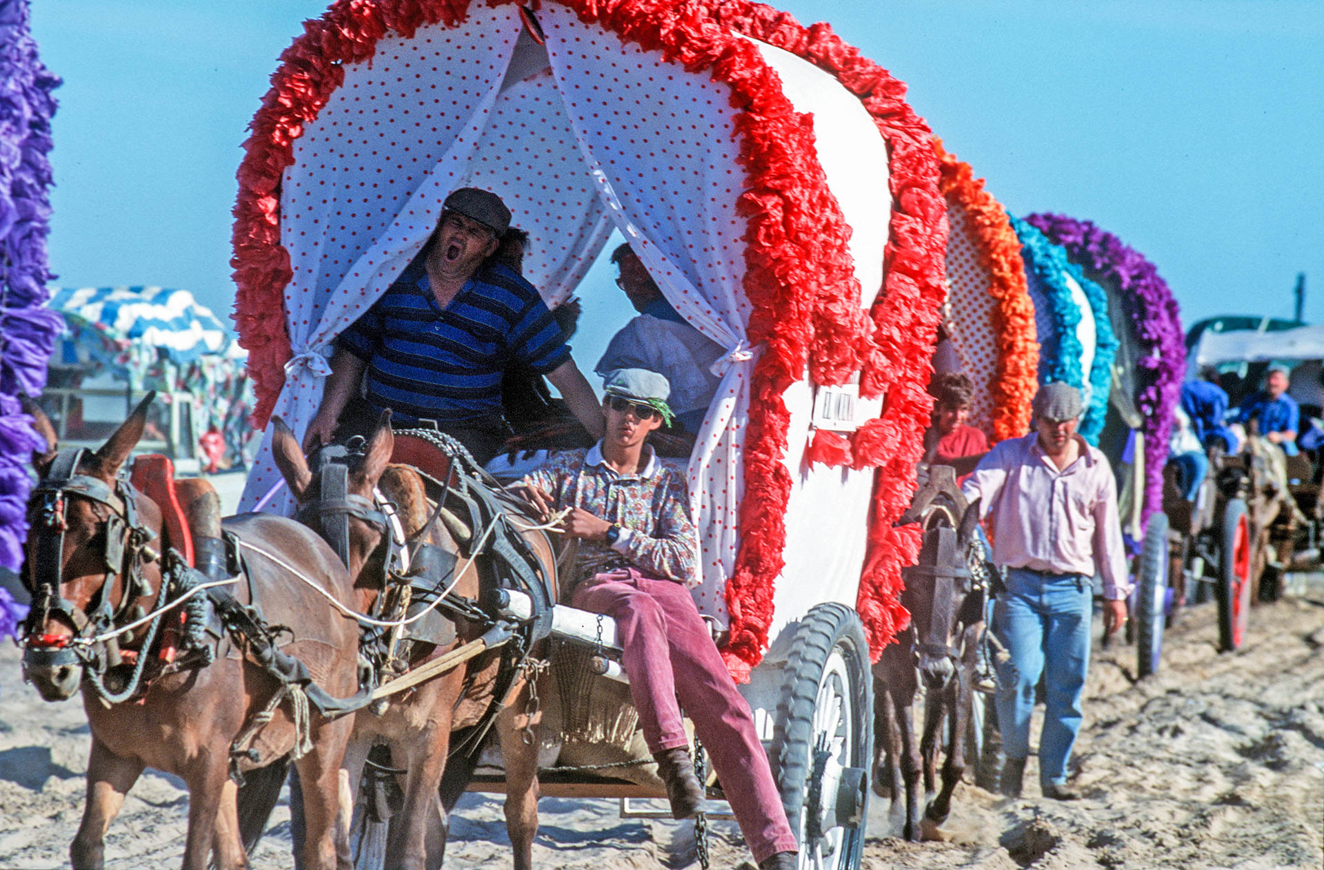  The miracle around the world: El Rocio, the caravans cross the Donana park. 