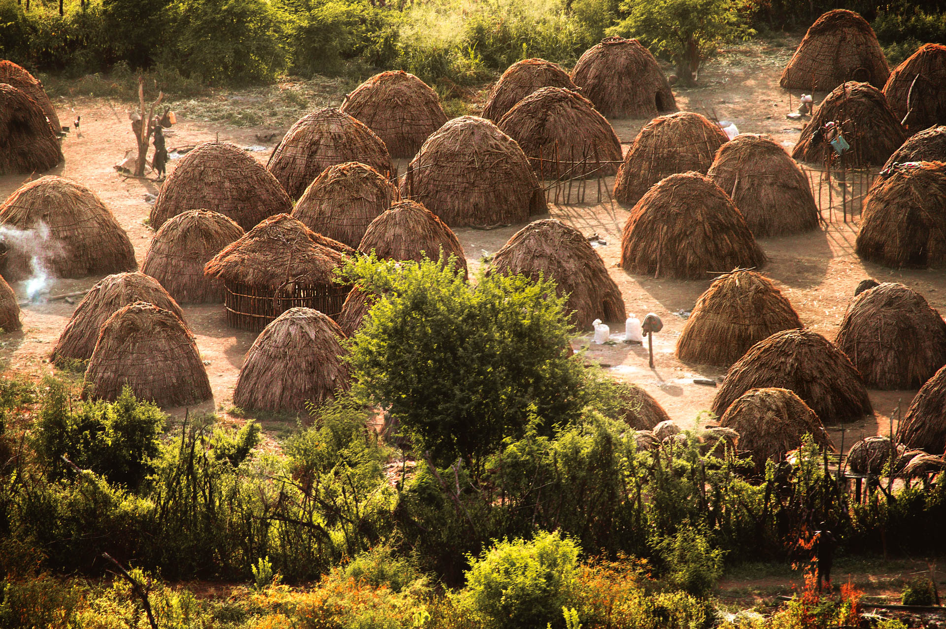  According to an ancient custom, the domed huts of the Mursi village of Komba lie together in a clearing protected by a hedge. 