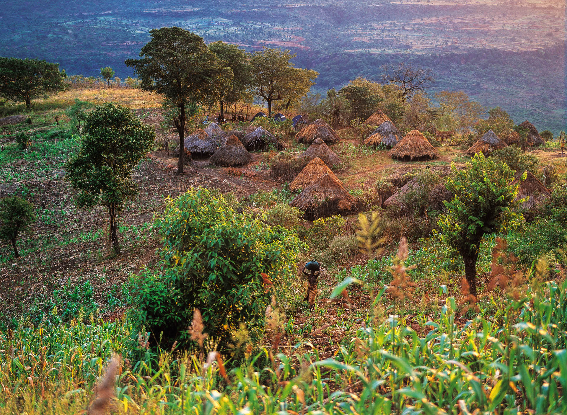 The Surma village of Kormu at dawn, about thirty domed huts.
