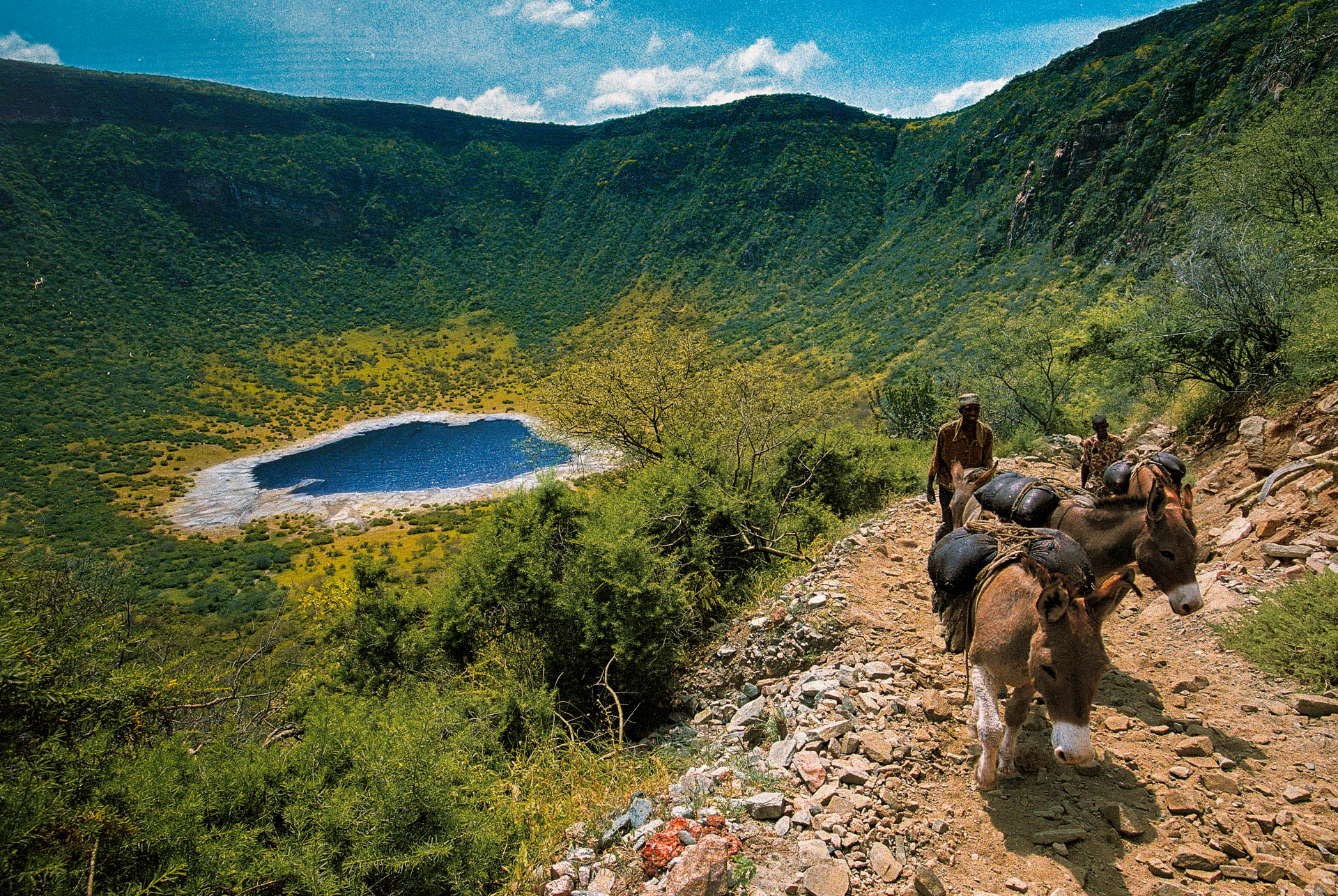 Two men lead two salt-laden donkeys along the path. The El Sod crater is the largest salt deposit in Ethiopia.