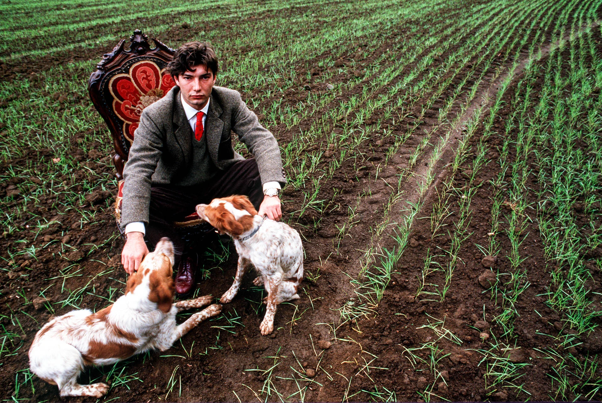 Rome, Italy - October 1987 Prince Odescalchi Federico and his Breton spaniels on his land at Bracciano, near Rome © GIANNI GIANSANTI