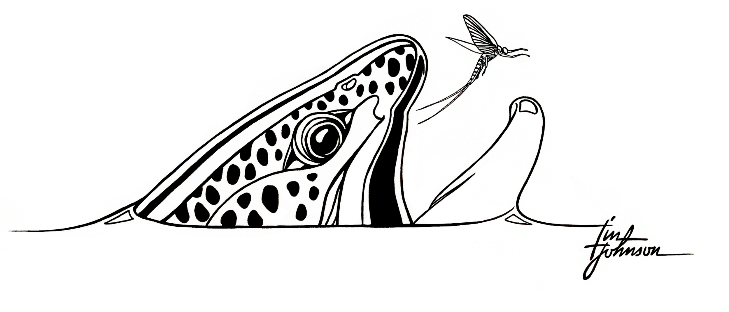 Mayfly Project_Header.png