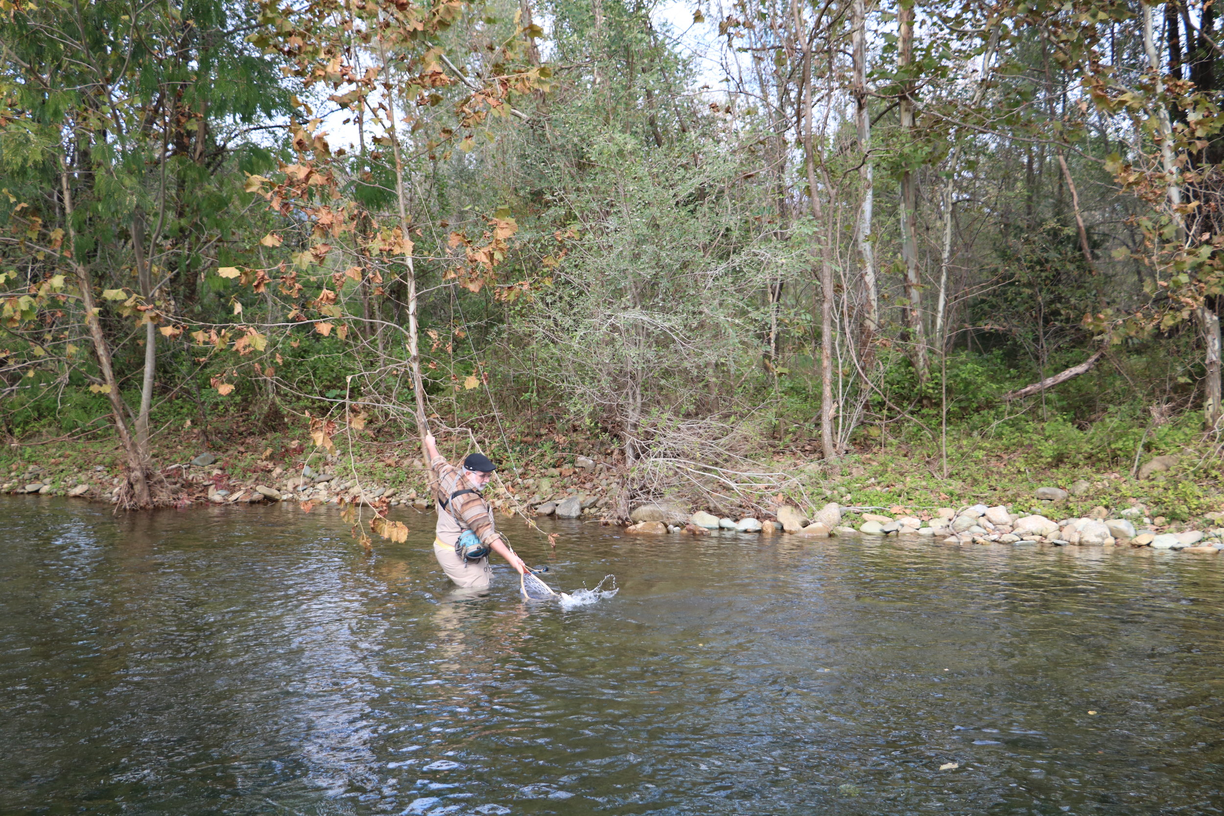 IMG_0160.jpg