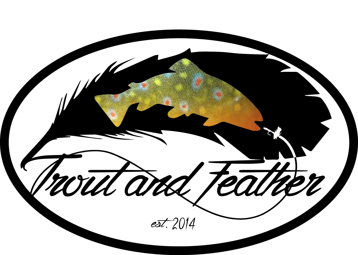 Trout and Feather.png