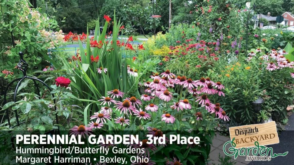 Backyard Garden WINNERS (14).jpg