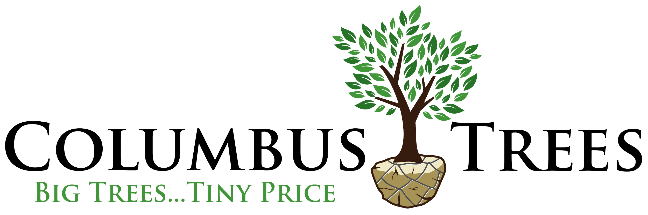 columbus-trees-main-4500.png