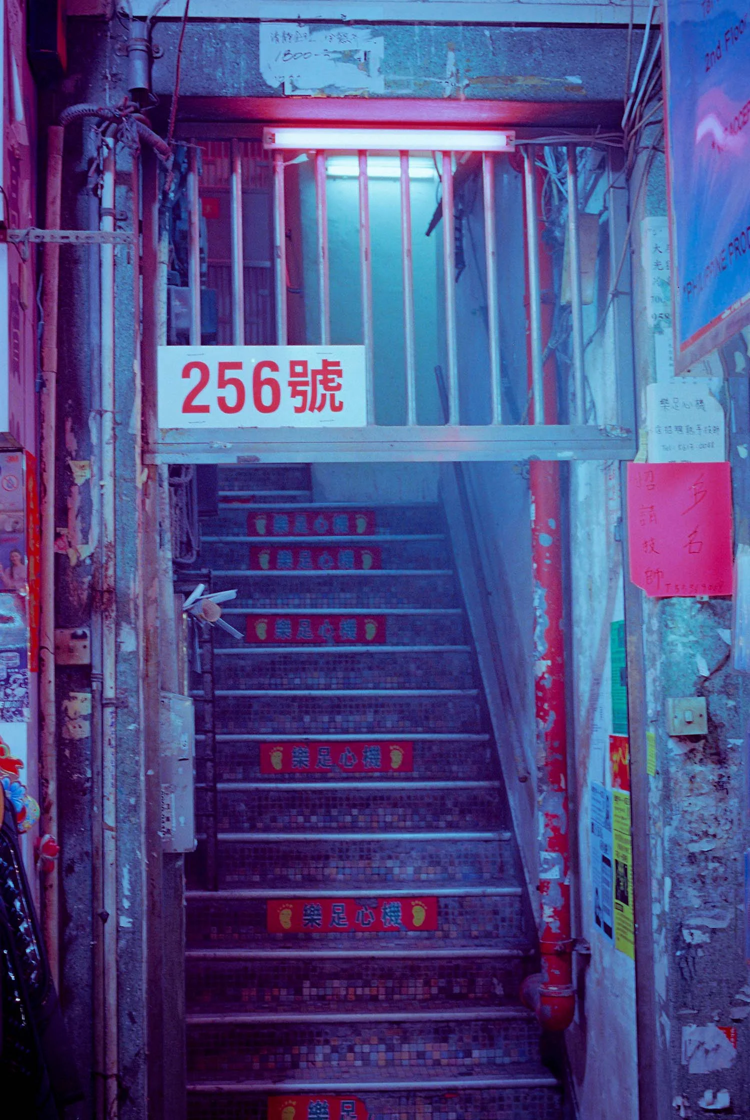 000028.jpg