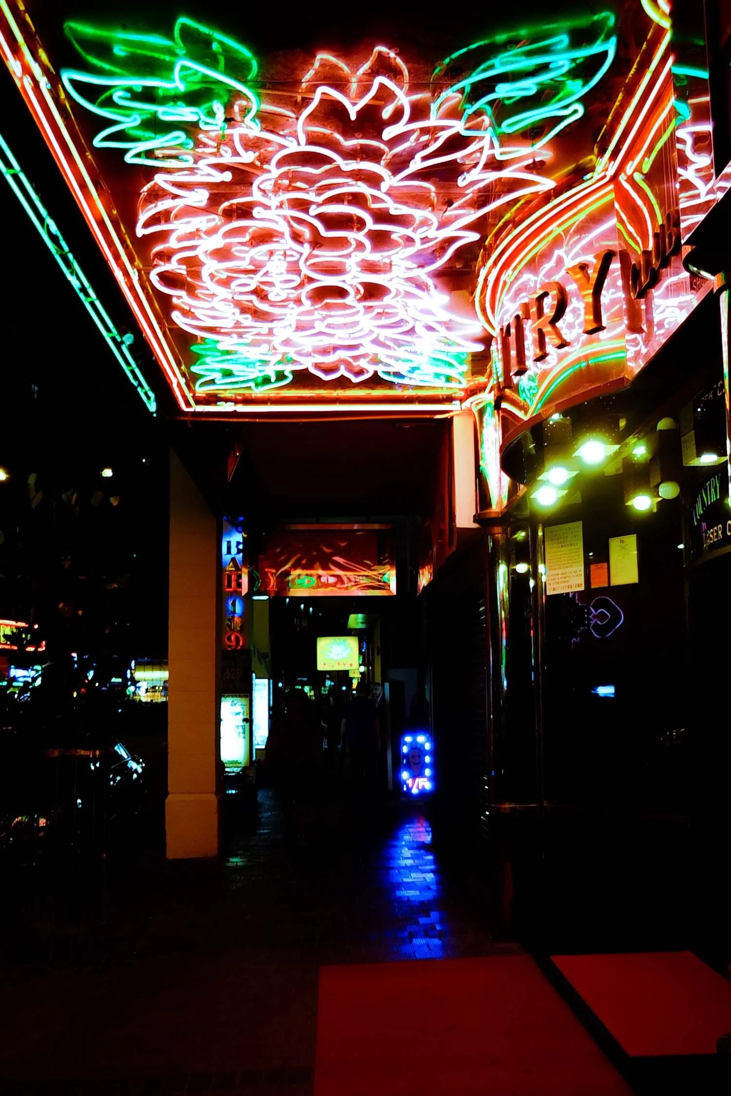 DSCF5910.jpg