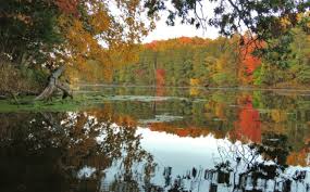 dells nature 6 mirror lake.jpg