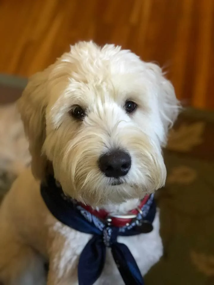Bruce Headshot.jpg