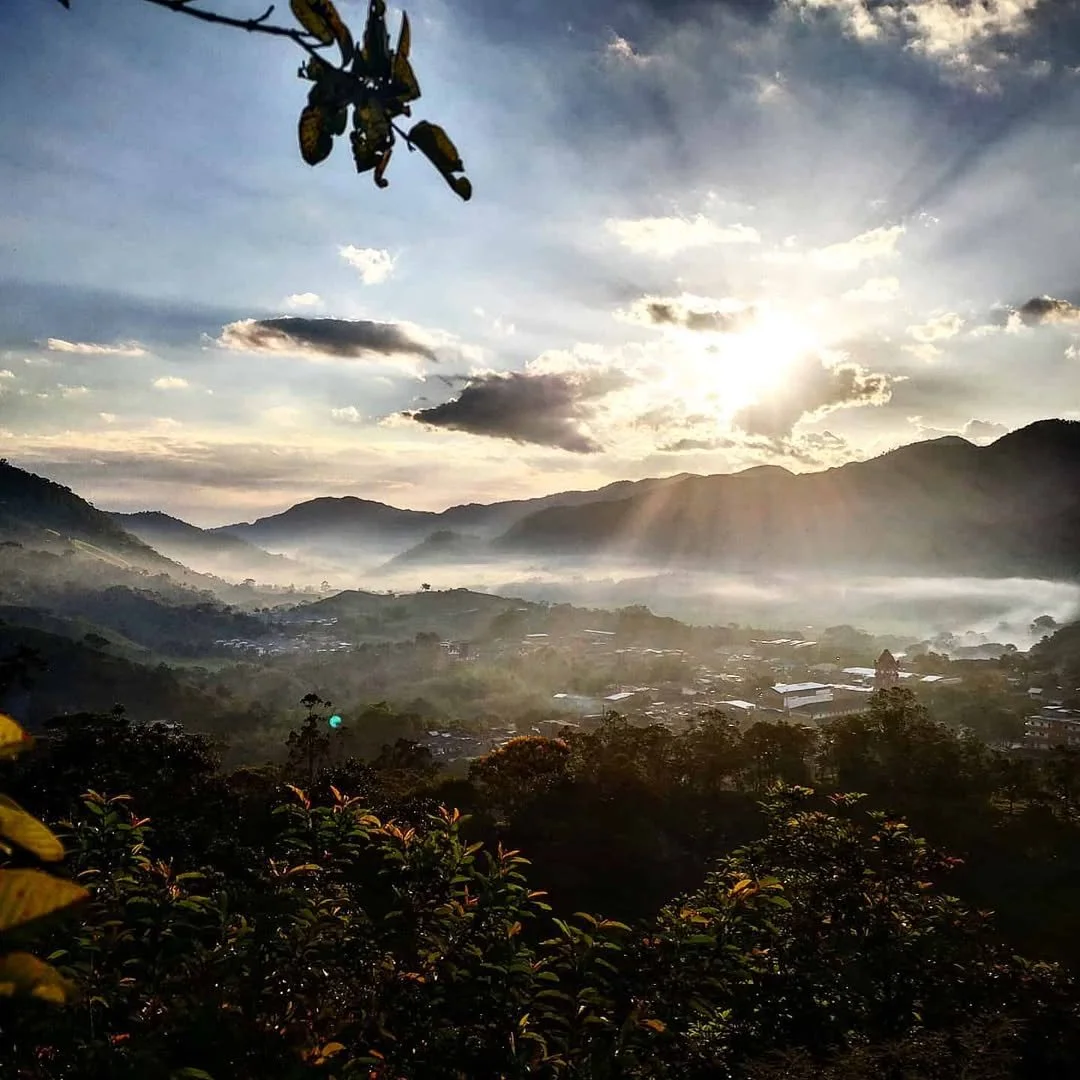Why San Carlos Is the Perfect Refuge for a Digital Nomad