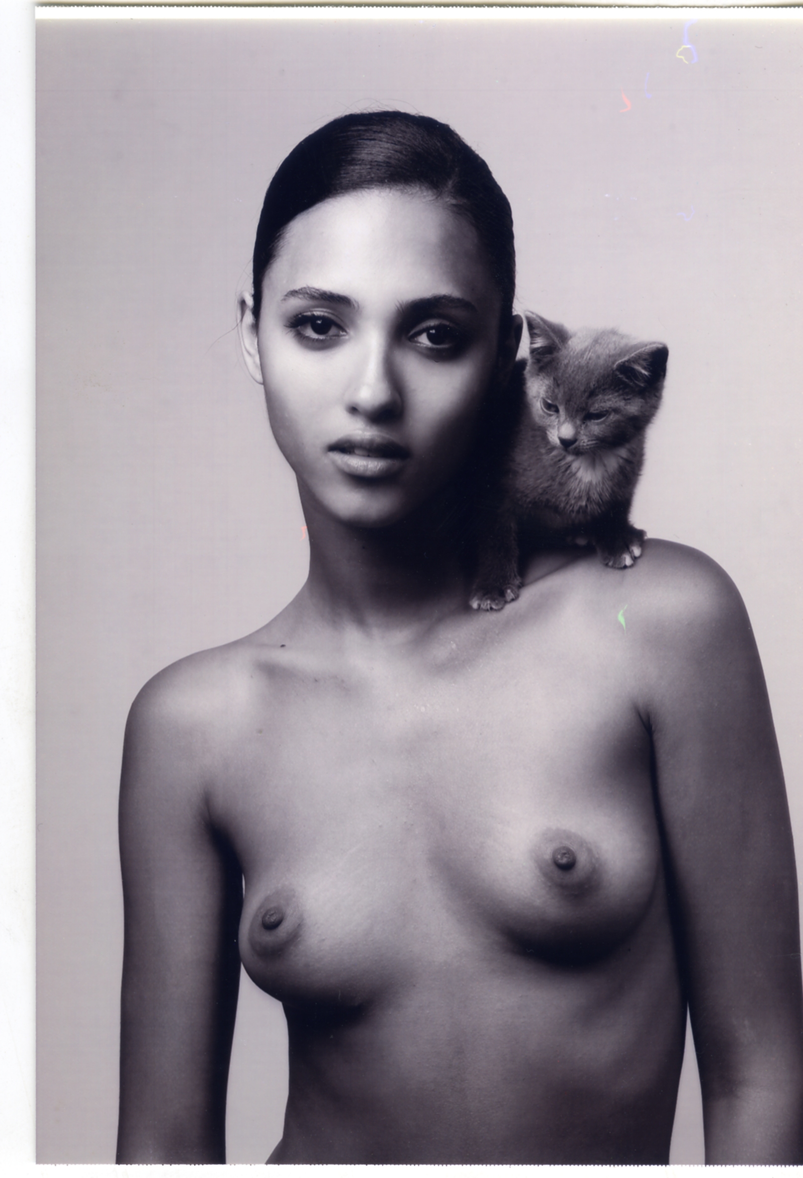 Melodie & Daria the Kitty