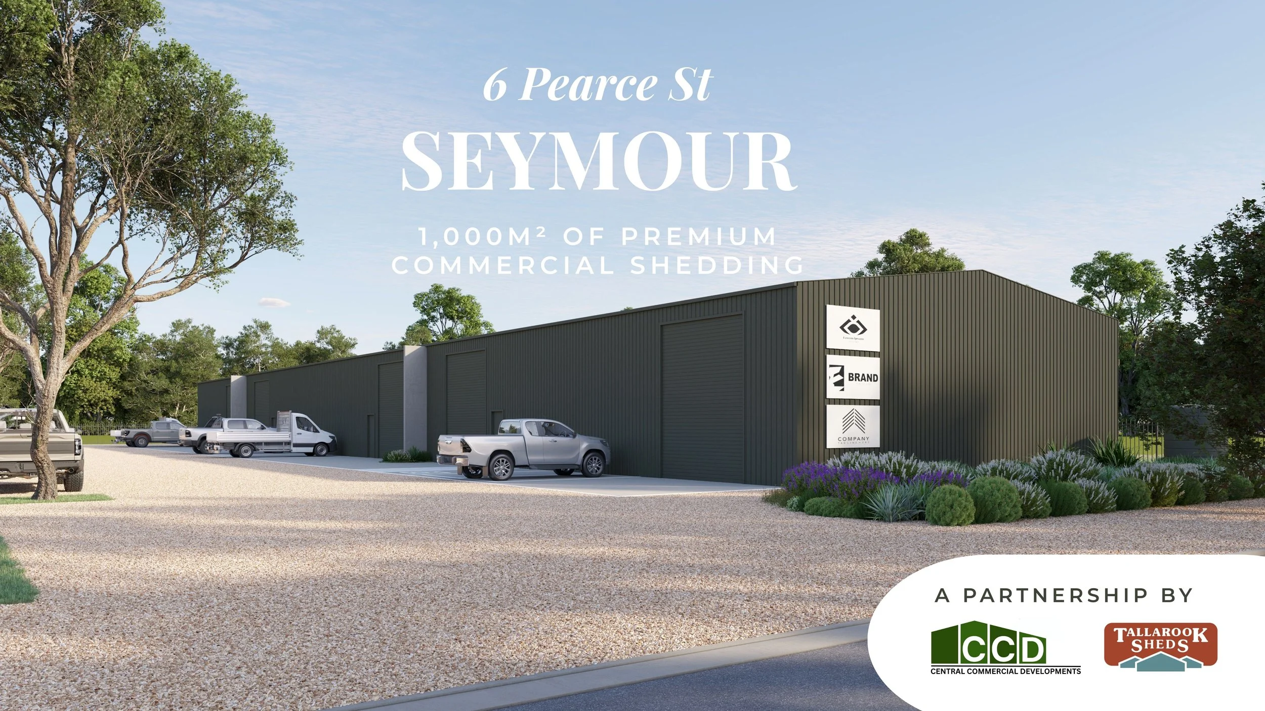 CCD Video Still 1.jpg