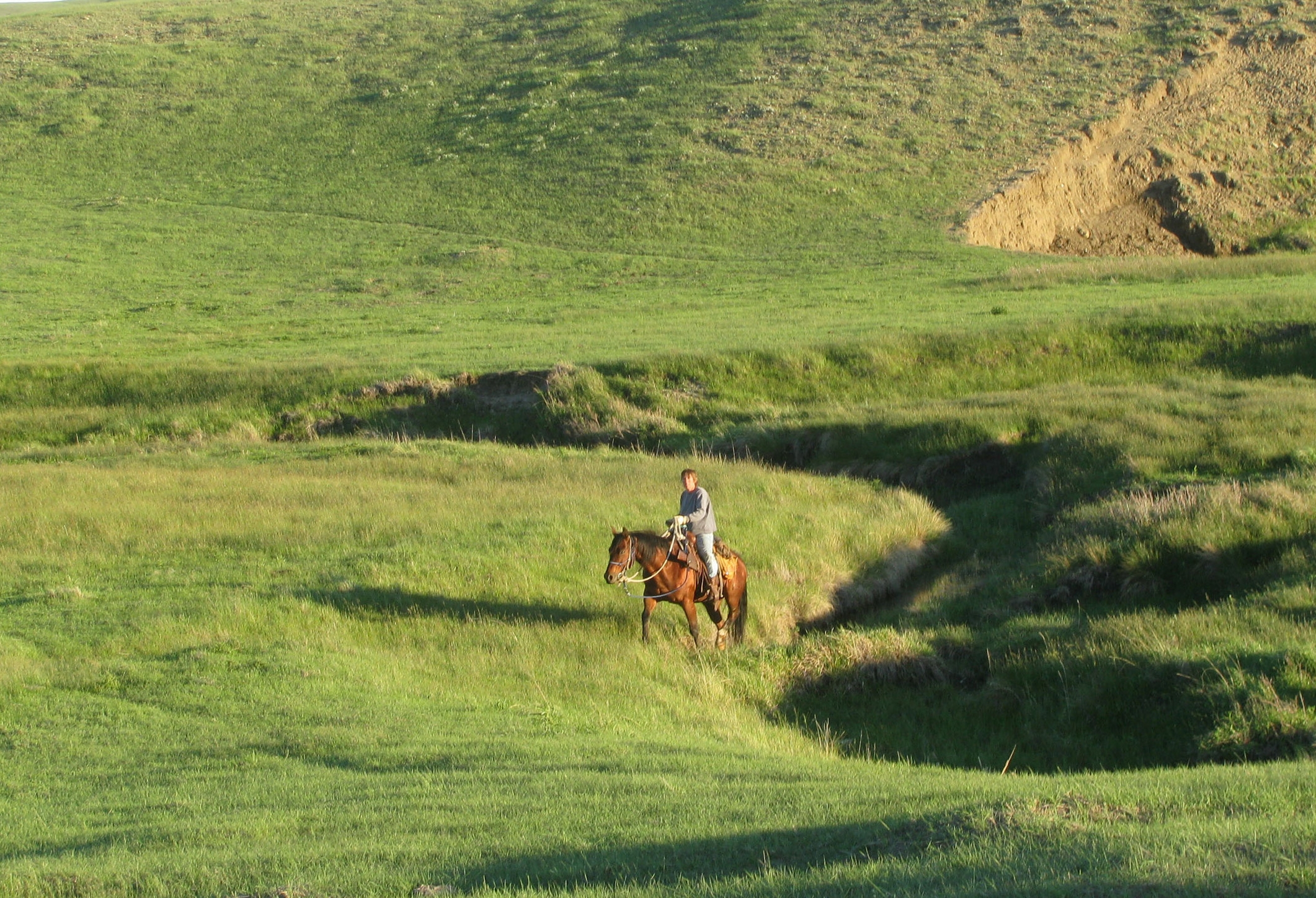 39 Lisa riding through June pasture.JPG