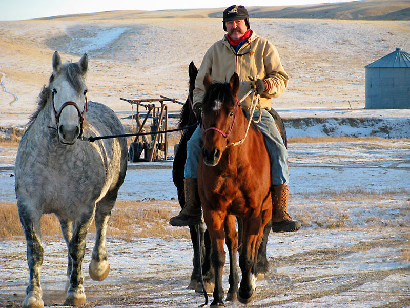 Steve With the Horses