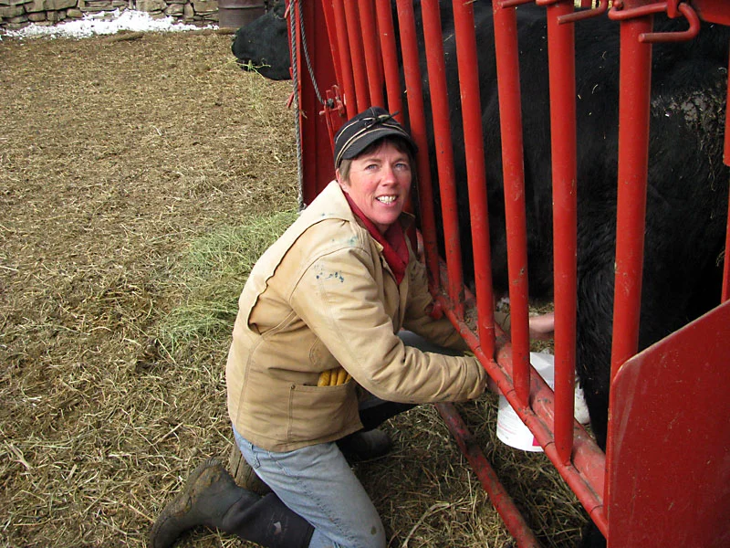 Lisa Milking