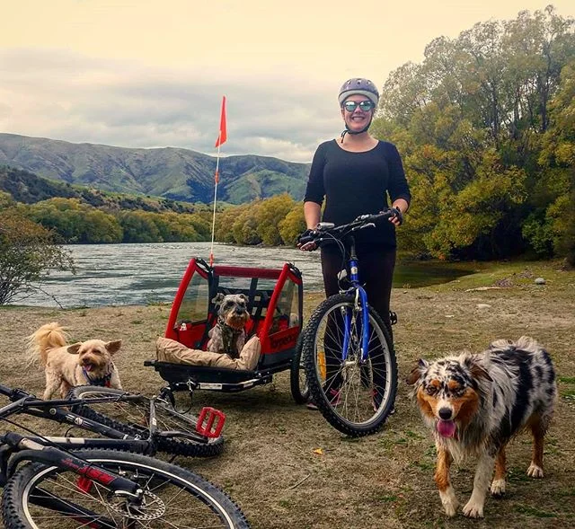 Its a Dog Day Afternoon! With March Madness done and dusted this is what a bit of down time looks like. Love my wee family 😍
.
.
.
.
.
#familytime #dogsofinstagram #mushroomhead #aussiesofinstagram #australianshepherd #bikeadventure #luggate #luggatecelebrant #sayidoinwanaka #celebrantemily #happilyeverafterinwanaka #wanakacelebrant #celebrantwanaka #wanakaweddingcelebrant #wanaka