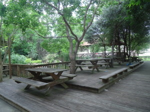 Picnic area and Koi pond