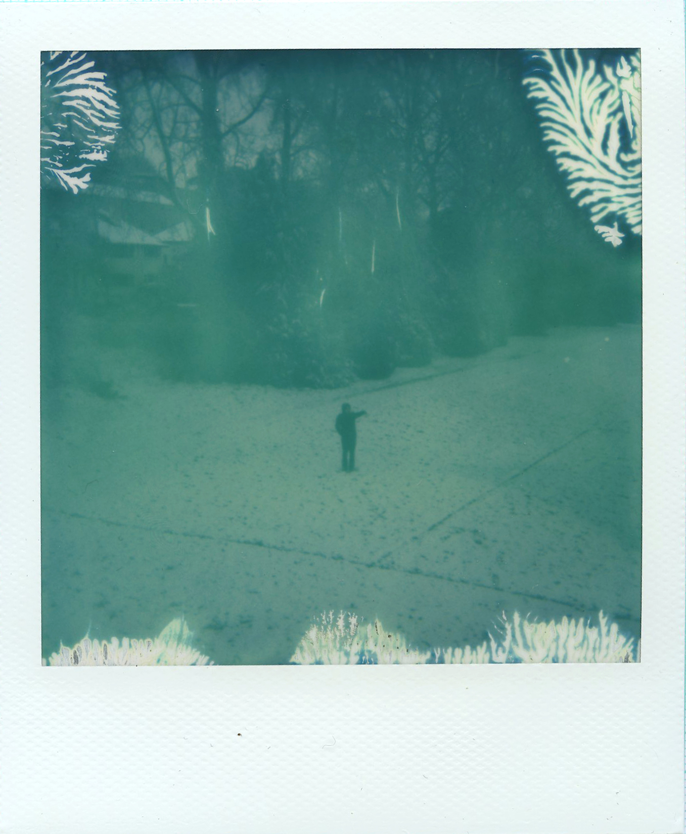 img7.jpg