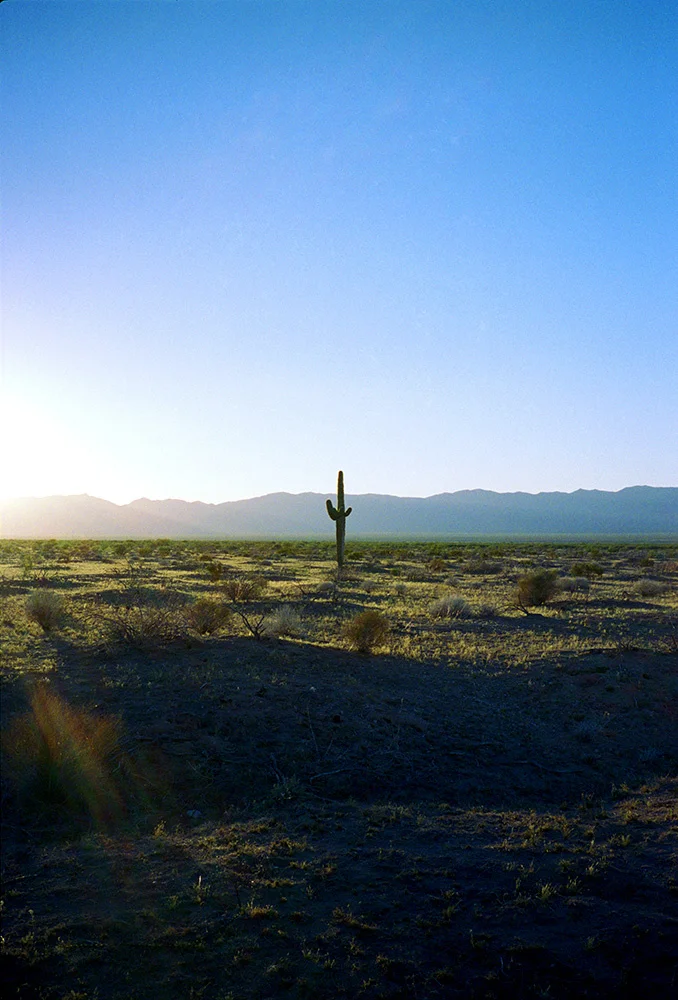 LANDSCAPES_2.jpg