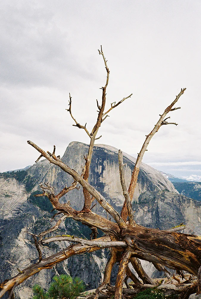 GREAT OUTDOORS_1.jpg