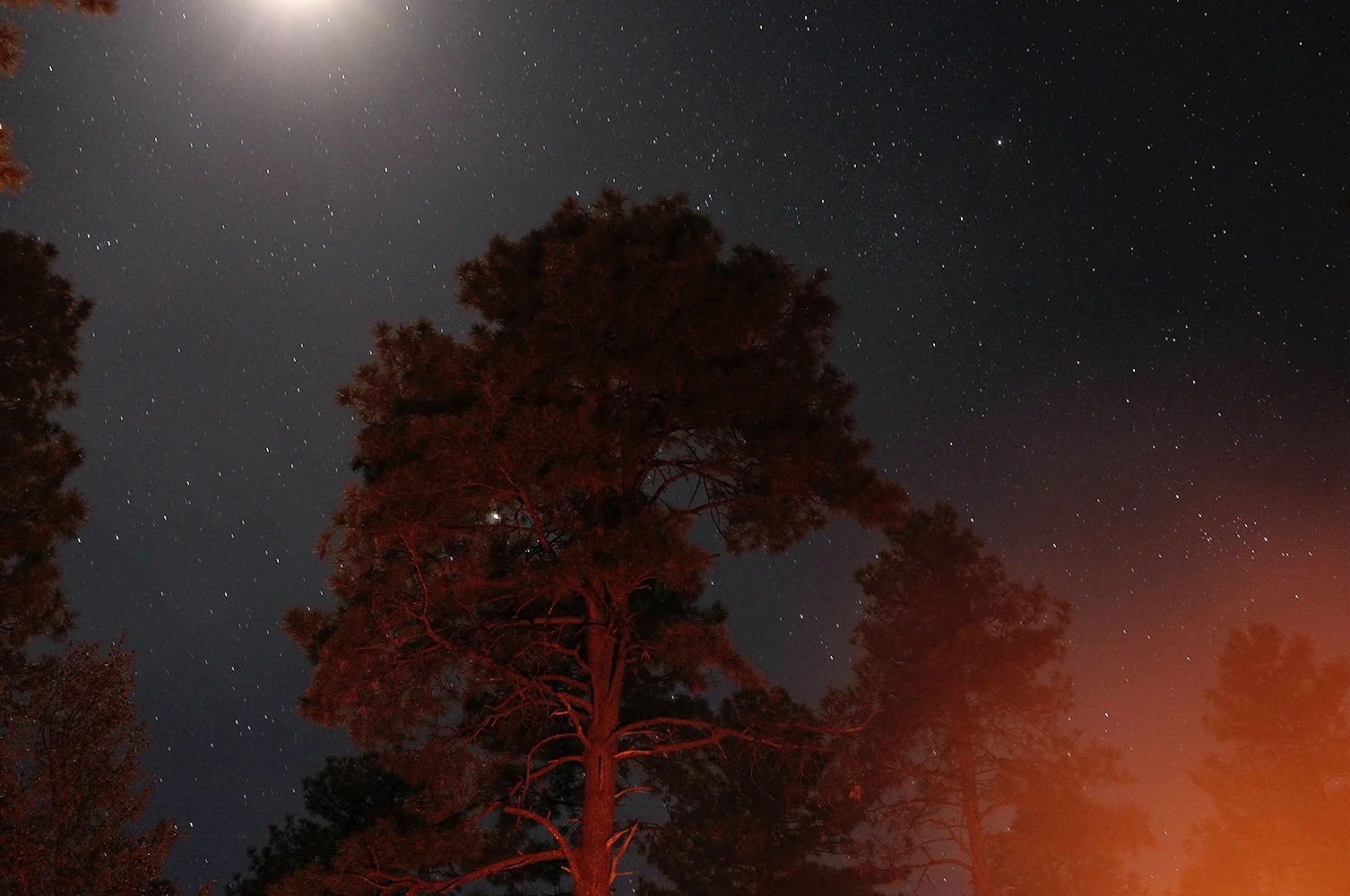 LANDSCAPES_8.jpg