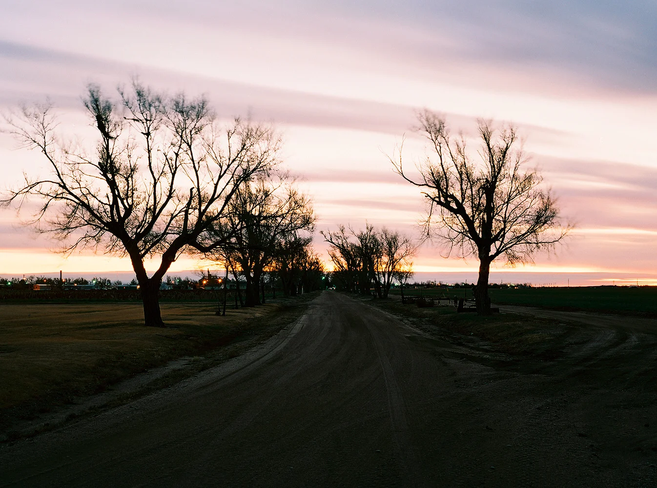 LANDSCAPES_19.jpg