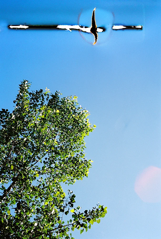 LANDSCAPES_31.jpg