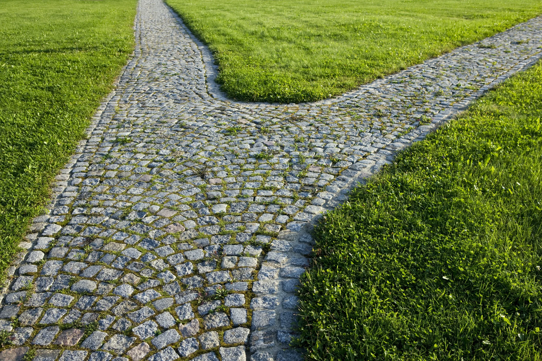 Photo by Philartphace/iStock / Getty Images
