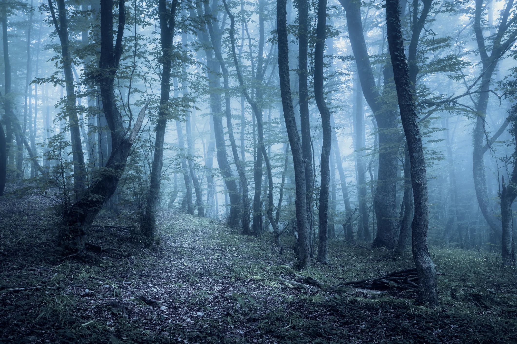 Photo by den-belitsky/iStock / Getty Images