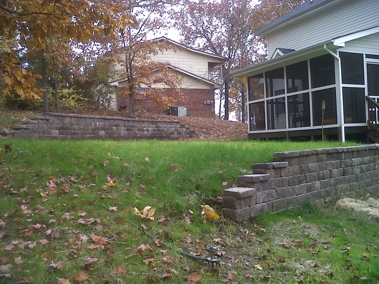 IMG00354-20111109-1208.jpg