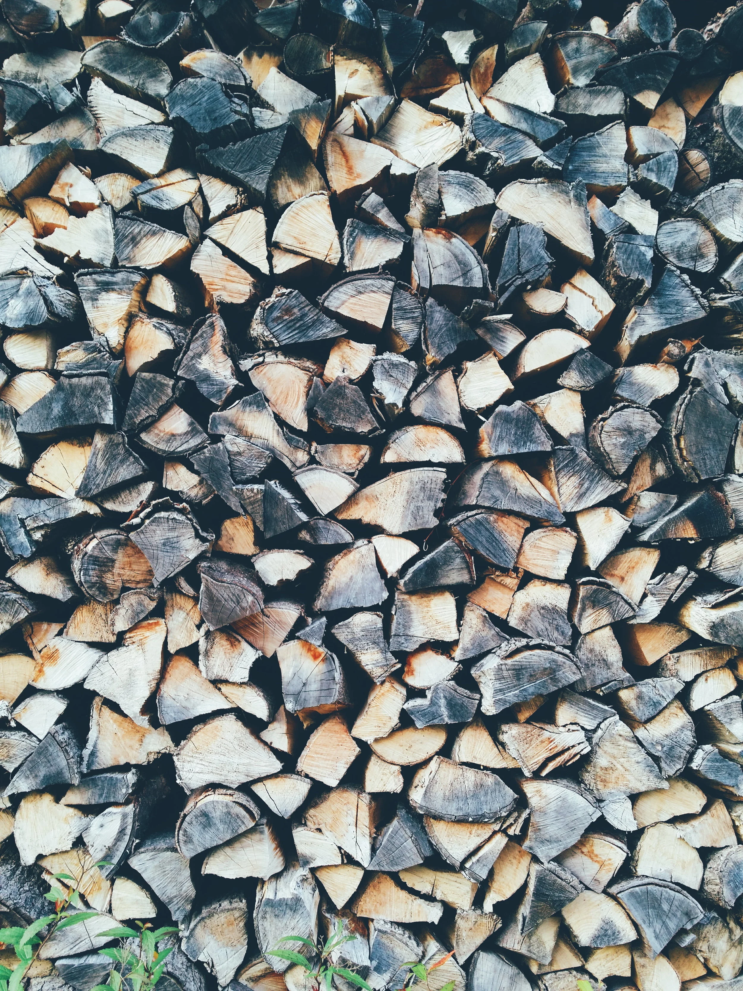 firewood.jpg