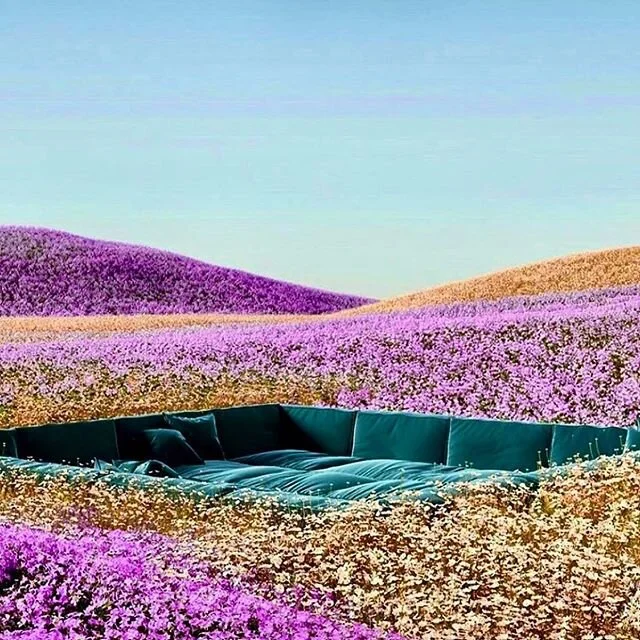 Imagining a set up inspired by this photo for a future media event! How gorgeous!
#experientialdesign #interiordesign #installations #creativity #landscapes