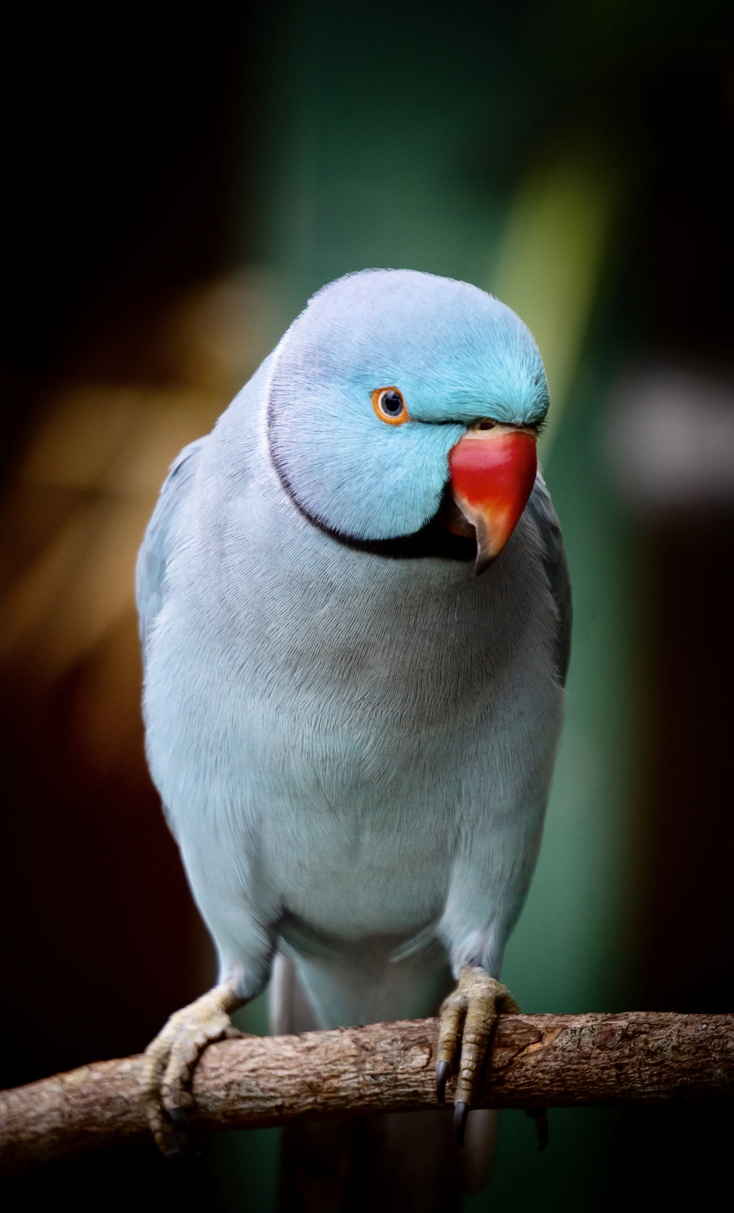 7A18E5D6-267F-4176-BB68-BB8E36C5FCB1.jpeg