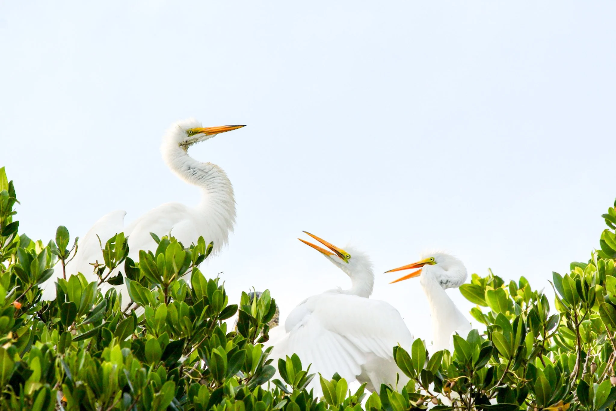 7D0E7651-F2C9-418F-B97F-5520C75A8AF6.jpeg
