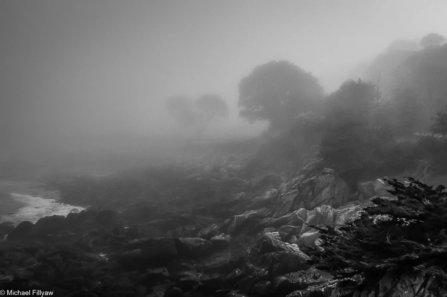 Mourning Fog, Cape Elizabeth, ME