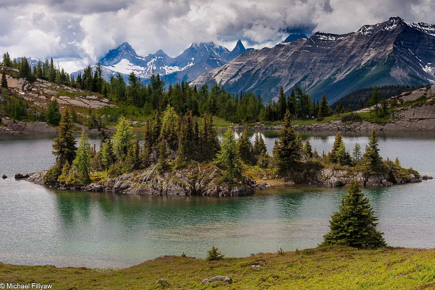 On the Continental Divide, Alberta, Canada