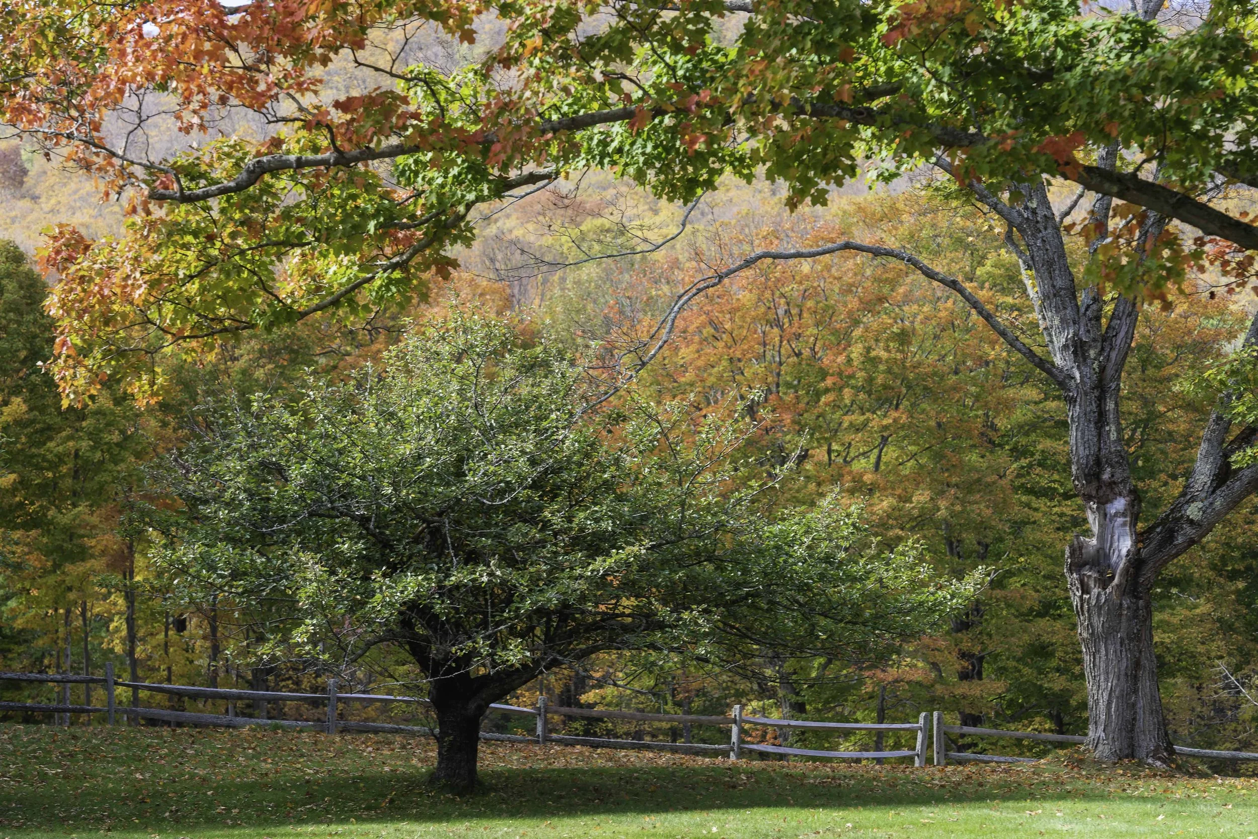 Near Thetford VT.jpg