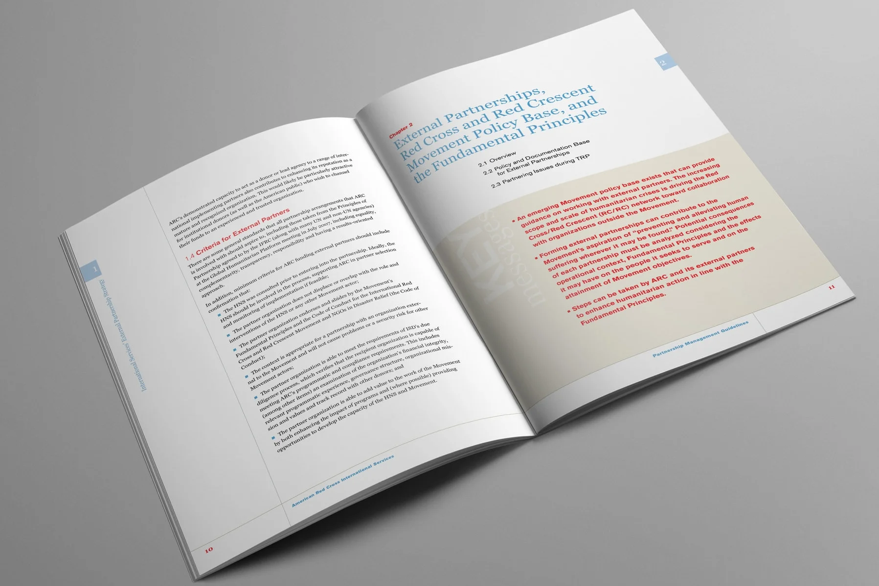 Red Cross Report Text 2.jpg