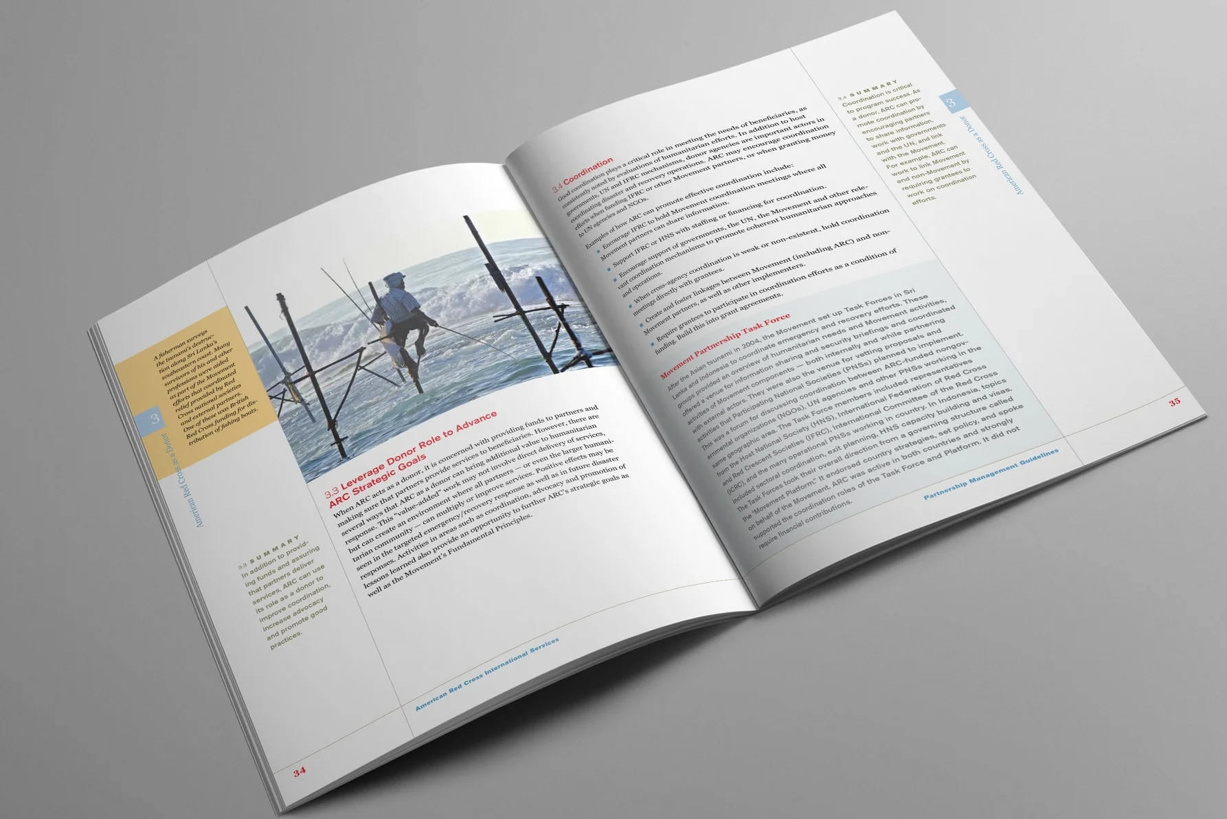 Red Cross Report Text2.jpg