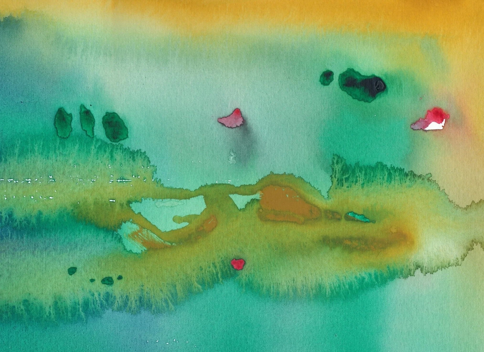 Fascinated by the creative process and the role intuition and imagination play, Debbie uses an intuitive process with watercolors and deep inquiry to help owners and individuals clarify and communicate their vision, values and purpose.
