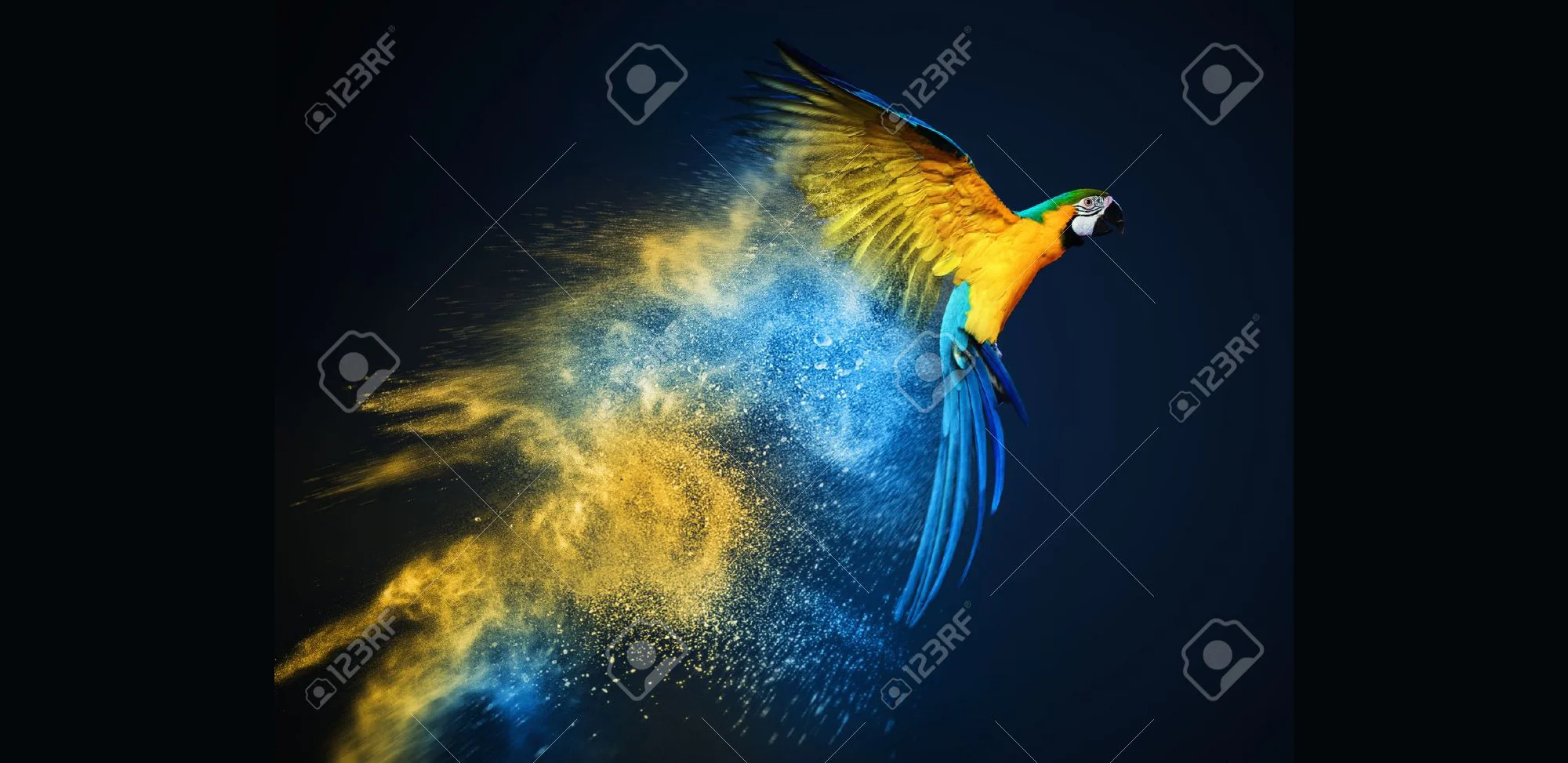 32889711-Flying-Ara-parrot-over-colourful-powder-explosion-Stock-Photo copy.jpg