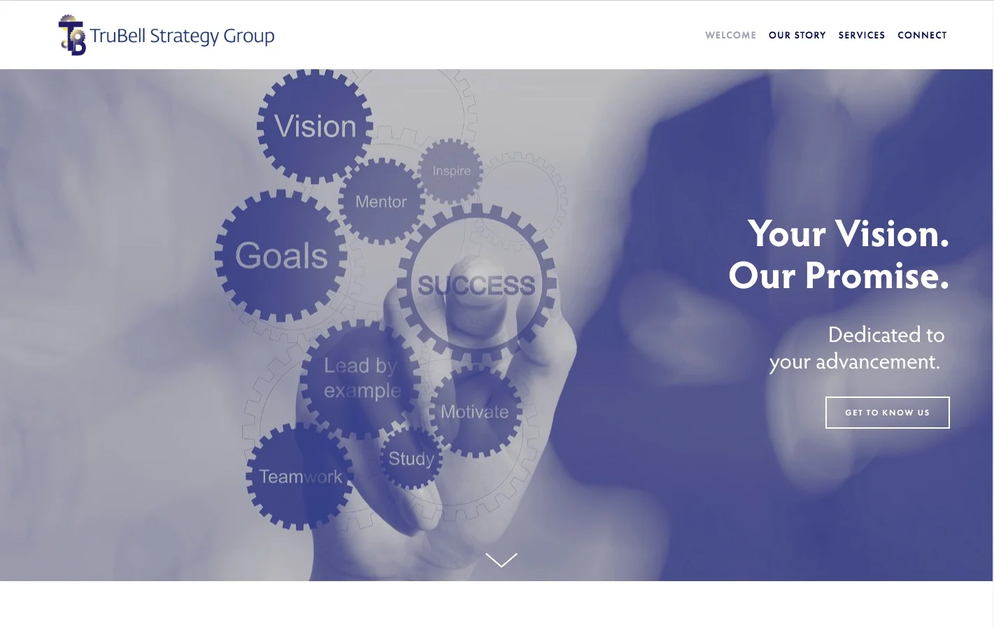 www.trubellstrategygroup.com