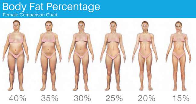 https://images.squarespace-cdn.com/content/v1/5850b05637c5816bf24b12e1/1515614742435-AOGLD8YSU6N7ZU3Y67OX/Body+Fat+Percentage+-+Female.png