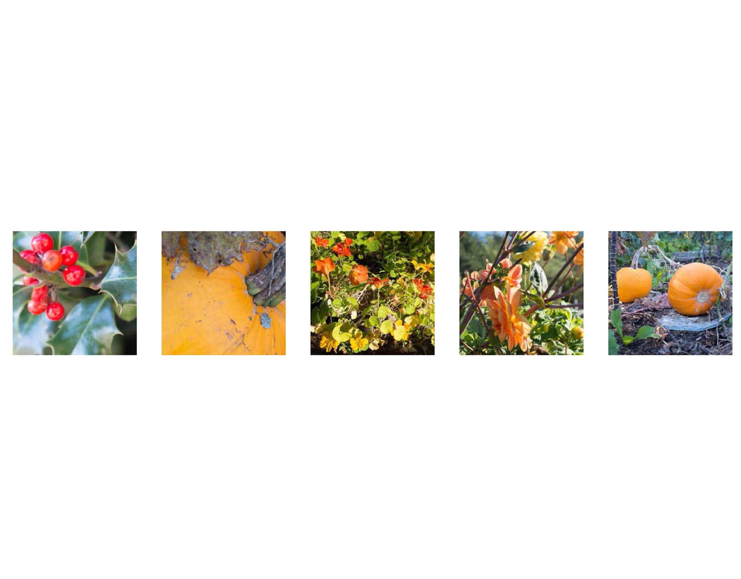 The Consumption of Colour-08.jpg