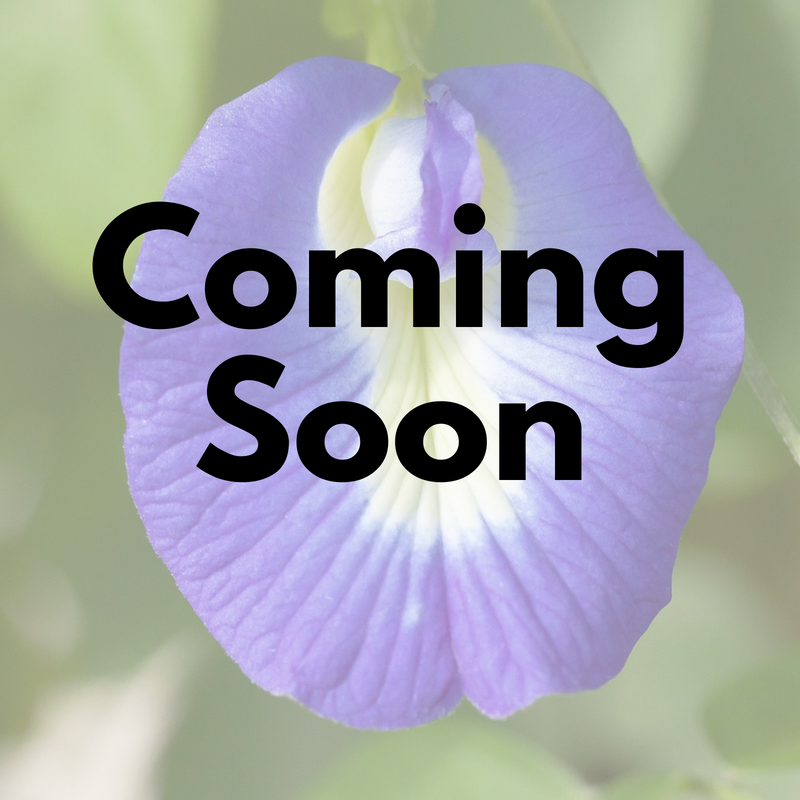 Coming Soon - THE CLITORIS.png