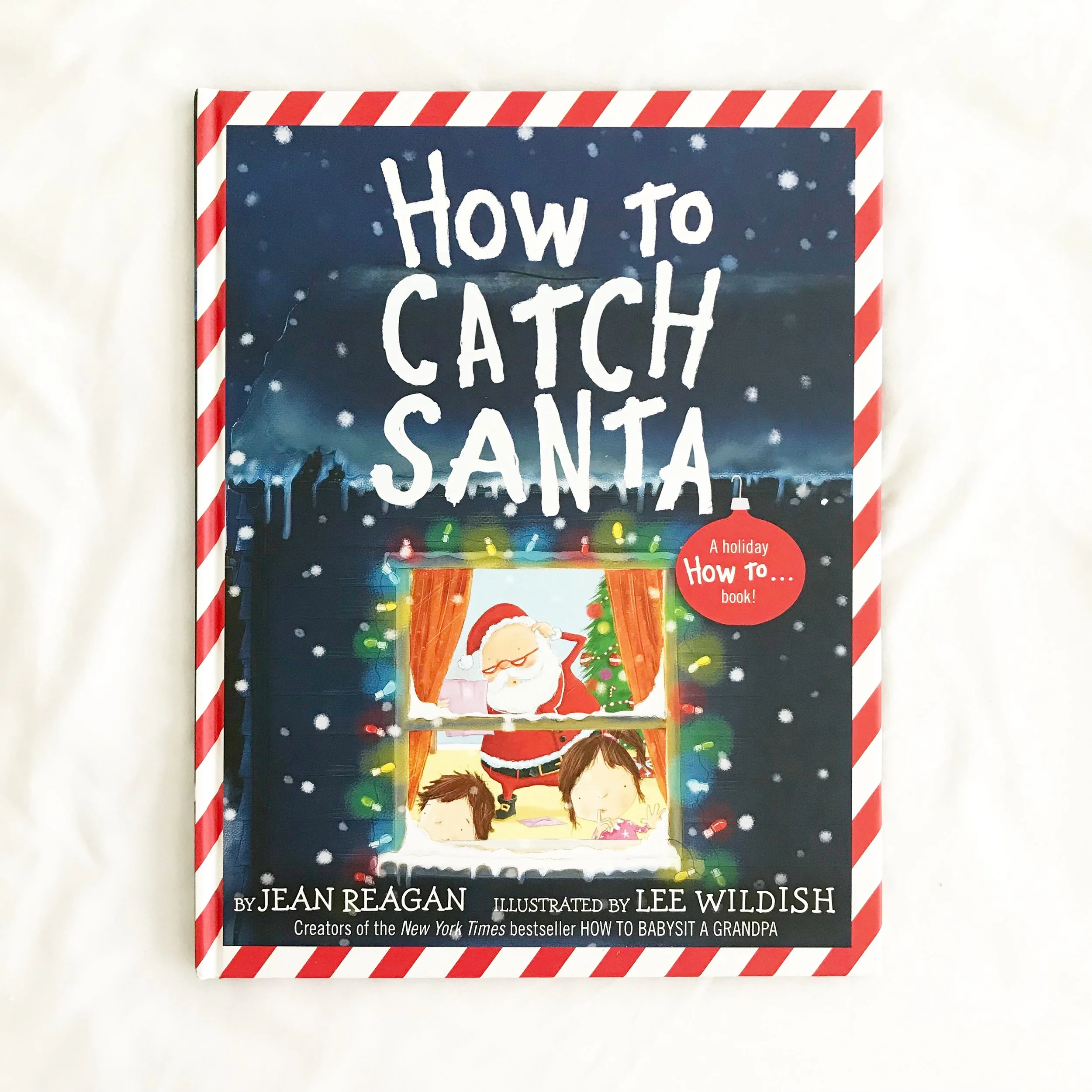 How to Catch Santa Love this how to series and this Christmas edition is so fun