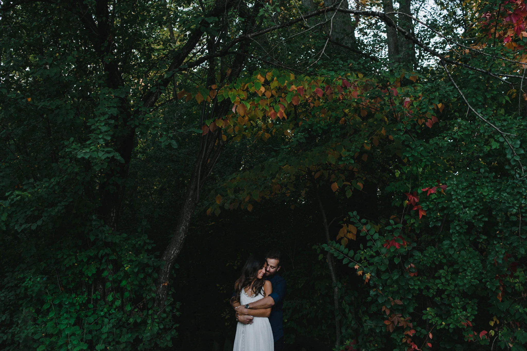 stephanie + joel's engagement session at parc nature bois-de-liesse, montreal