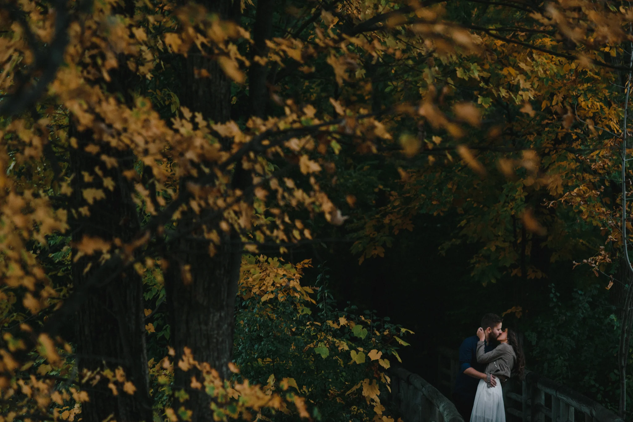 stephanie + joel's engagement session at parc nature bois-de-liesse, montreal