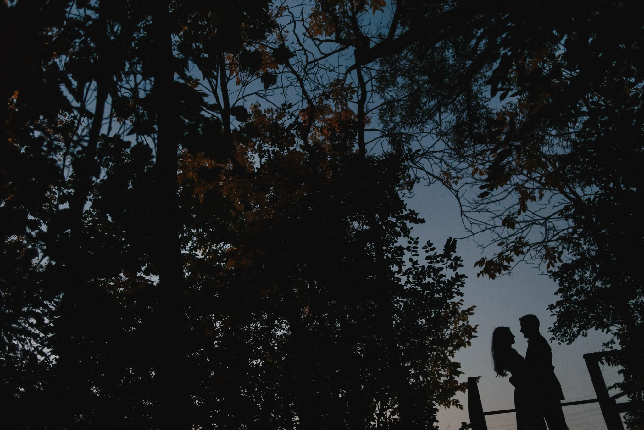 stephanie + joel's engagement session at parc nature bois-de-liesse, montreal
